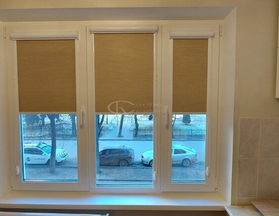 Рулонные шторы Блэкаут