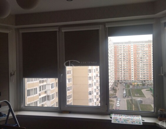 Рулонные шторы Блэкаут