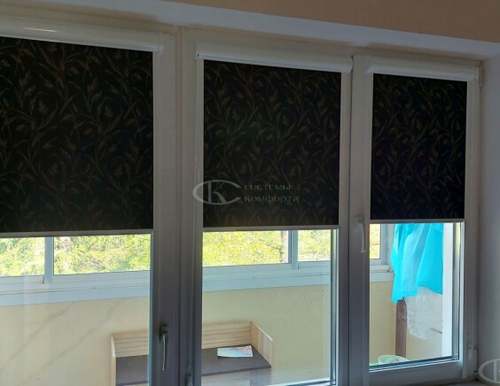 Рулонные шторы Блэкаут