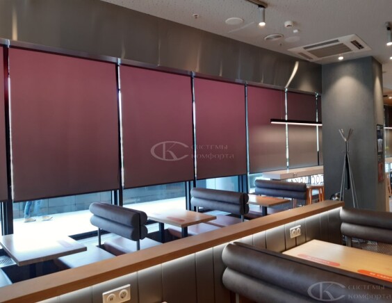 Рулонные шторы Блэкаут