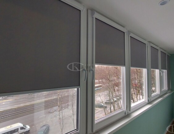 Рулонные шторы Блэкаут