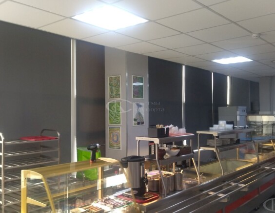 Рулонные шторы Блэкаут