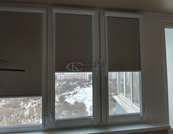 Рулонные шторы Блэкаут