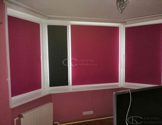 Рулонные шторы Блэкаут