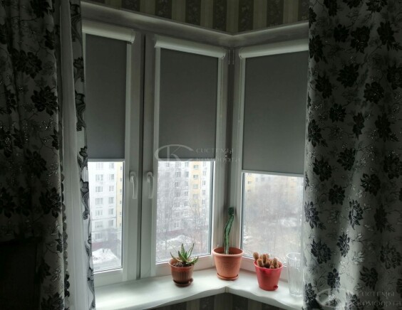 Рулонные шторы Блэкаут