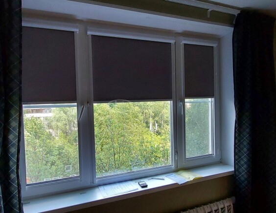 Рулонные шторы Блэкаут