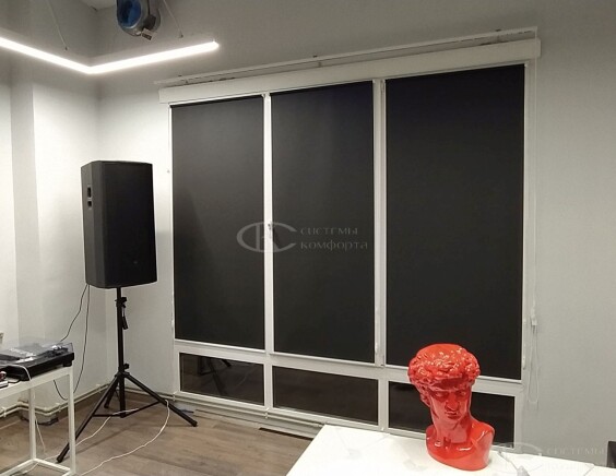 Рулонные шторы Блэкаут