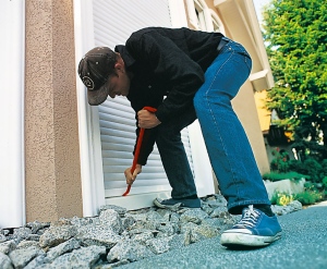 Антивандальная защита рулонных ворот Купить рулонные ворота для гаража по доступной цене