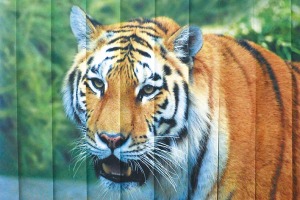 Вертикальные жалюзи на балкон с фотопечатью Вертикальные жалюзи на балкон с фотопечатью